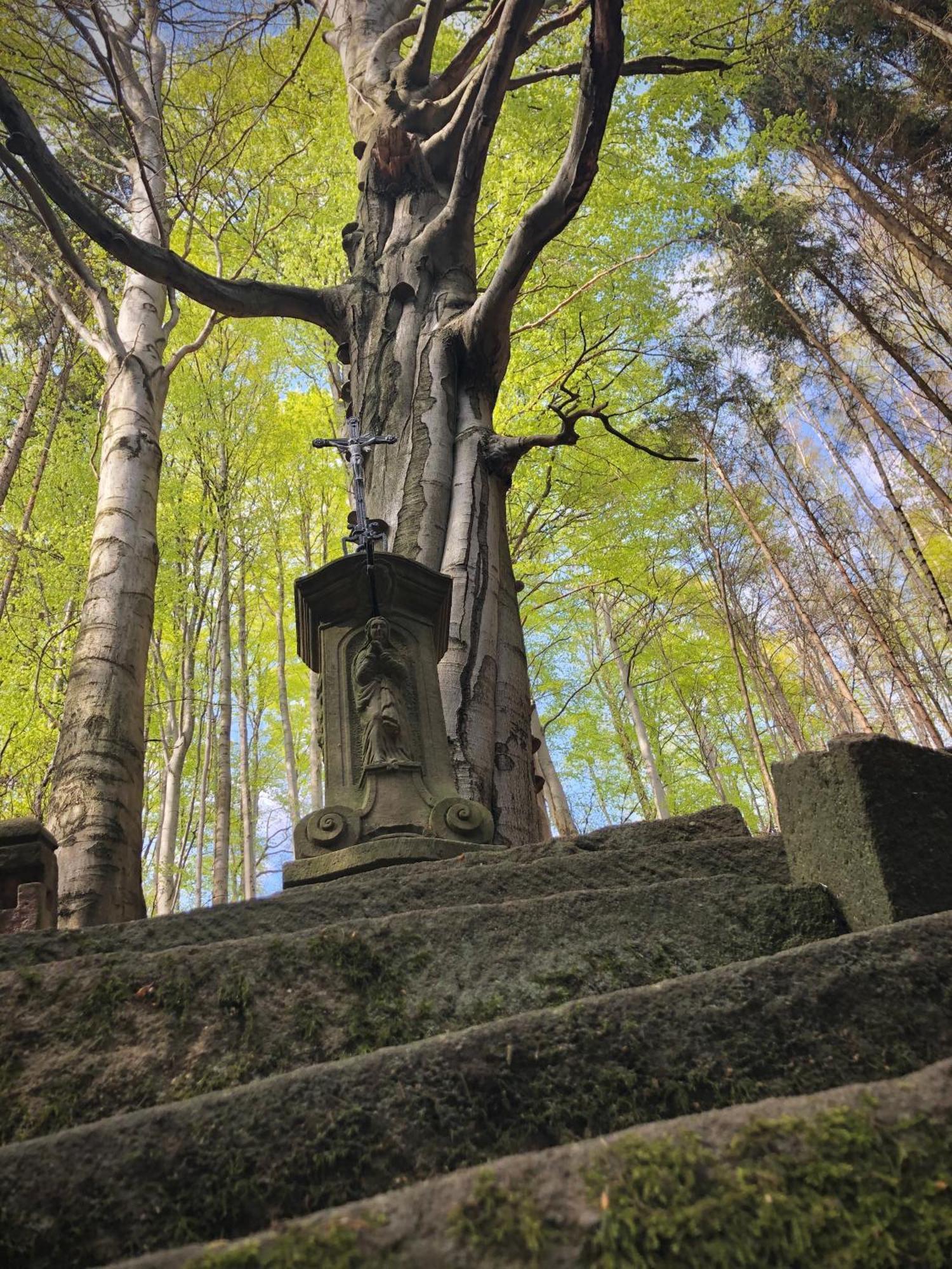 Penzion Budopartner Jívka Esterno foto